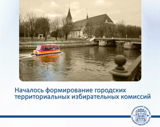Избирком принял решение приступить к формированию городских территориальных избирательных комиссий