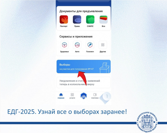 Готовимся к ЕДГ-2025: Узнай всё о выборах заранее!