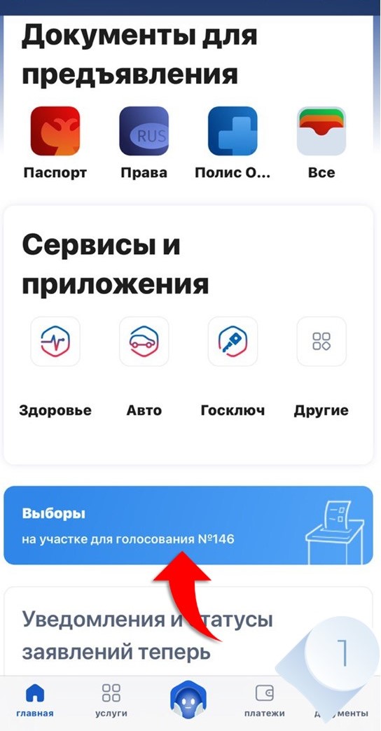 Готовимся к ЕДГ-2025: Узнай всё о выборах заранее!