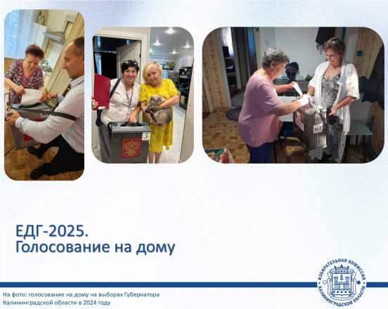 ЕДГ-2025. О голосовании на дому