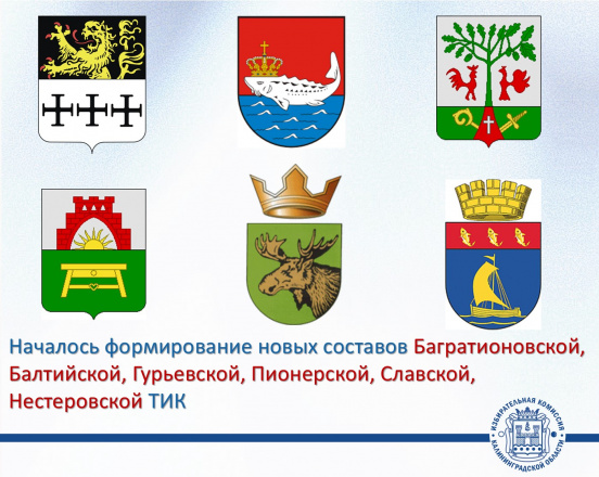 Избирком принял решение приступить к формированию Багратионовской, Балтийской, Гурьевской, Пионерской, Славской, Нестеровской территориальных избирательных комиссий