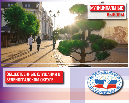 В Зеленоградском муниципальном округе назначены общественные слушания по внесению изменений в Устав муниципального образования