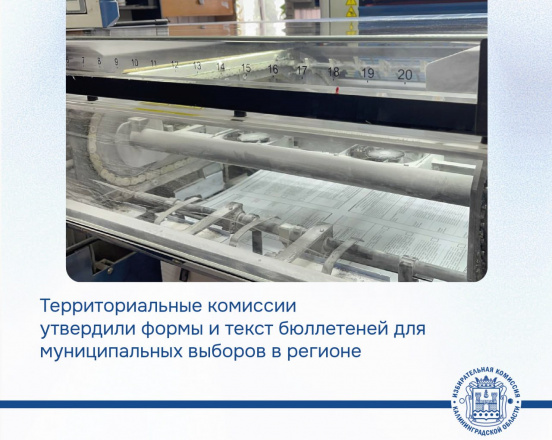 Территориальные комиссии утвердили форму и текст бюллетеней для муниципальных выборов, назначенных на 14 сентября
