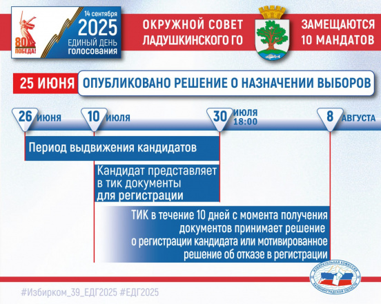 Ладушкин! Избирателям, партиям, будущим кандидатам!