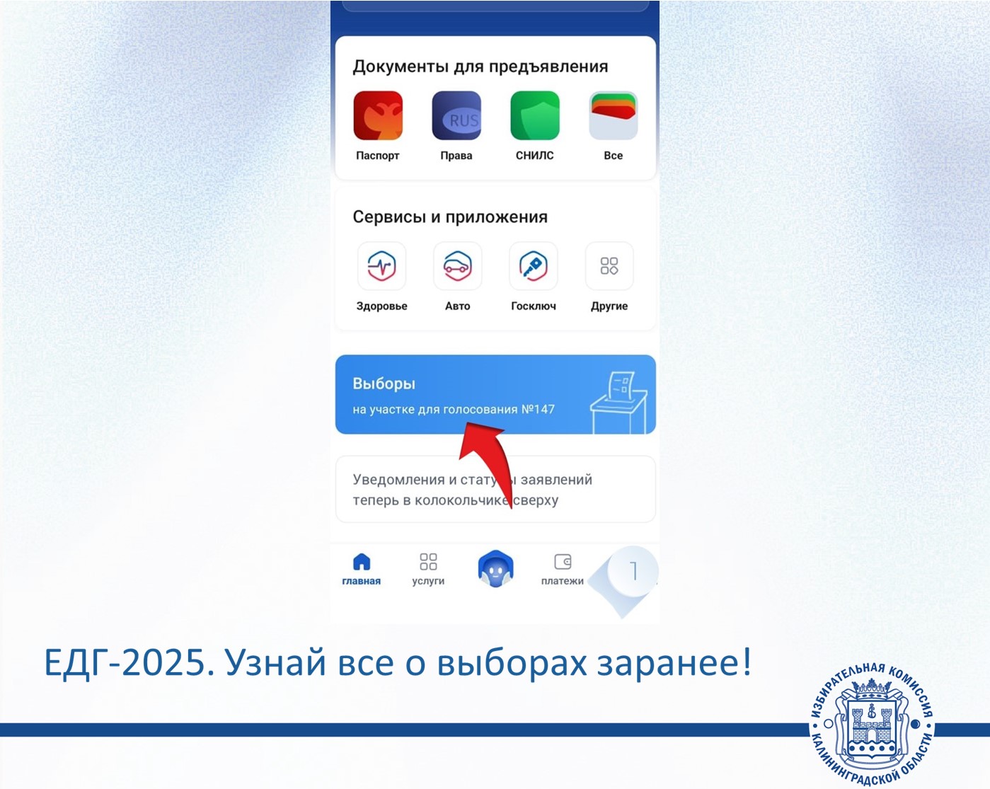 Готовимся к ЕДГ-2025: Узнай всё о выборах заранее!