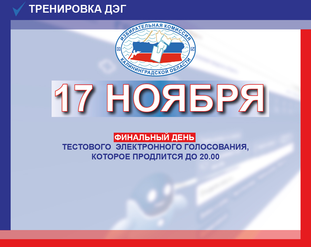 Тестовое электронное голосование. Финальный день