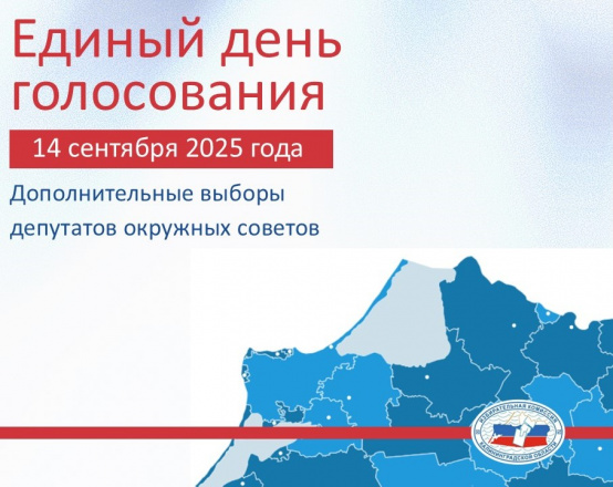ЕДГ – 2025. Дополнительные выборы