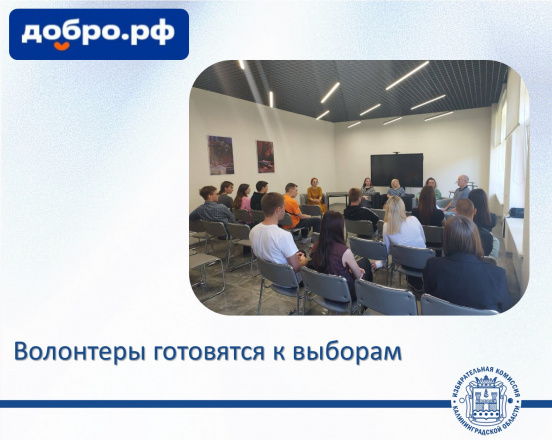 Волонтеры готовятся к работе на выборах: особенности взаимодействия и помощь избирателям с ограниченными возможностями
